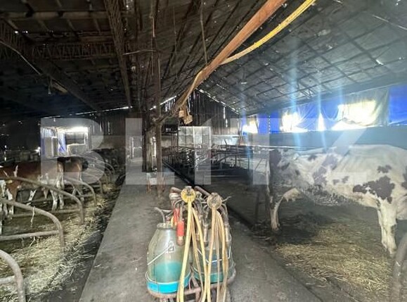 Spațiu industrial de vânzare Nord-Vest - 156799SVI | BLITZ Satu Mare | Poza11