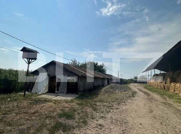 Spațiu industrial de vânzare Nord-Vest - 156799SVI | BLITZ Satu Mare | Poza12