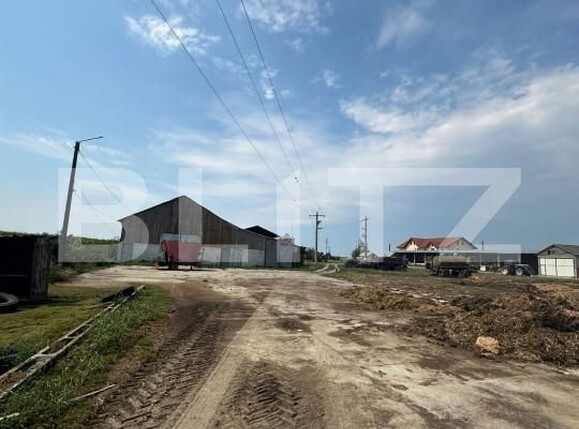 Spațiu industrial de vânzare Nord-Vest - 156799SVI | BLITZ Satu Mare | Poza9