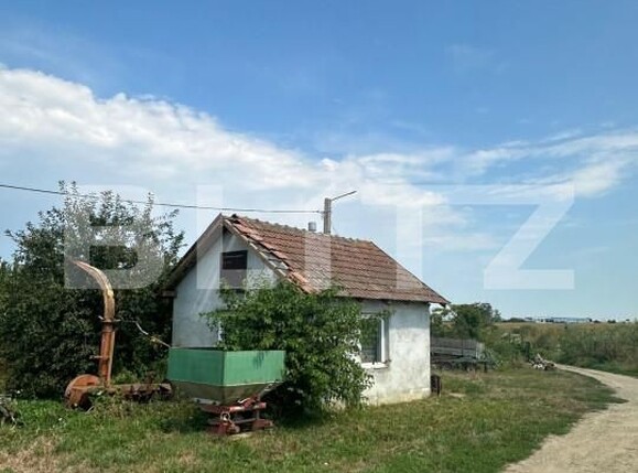 Spațiu industrial de vânzare Nord-Vest - 156799SVI | BLITZ Satu Mare | Poza4