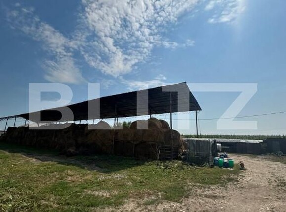 Spațiu industrial de vânzare Nord-Vest - 156799SVI | BLITZ Satu Mare | Poza18