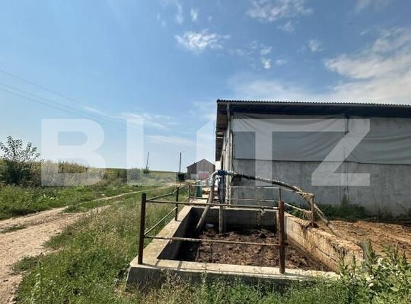 Spațiu industrial de vânzare Nord-Vest - 156799SVI | BLITZ Satu Mare | Poza7