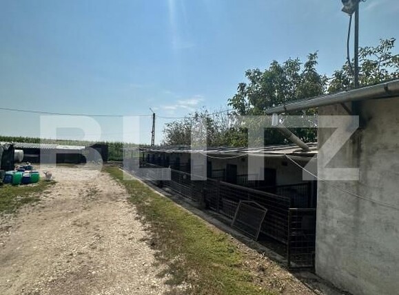 Spațiu industrial de vânzare Nord-Vest - 156799SVI | BLITZ Satu Mare | Poza15