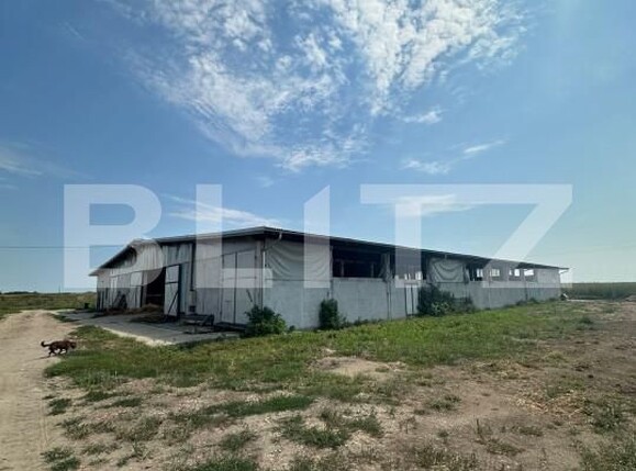 Spațiu industrial de vânzare Nord-Vest - 156799SVI | BLITZ Satu Mare | Poza1