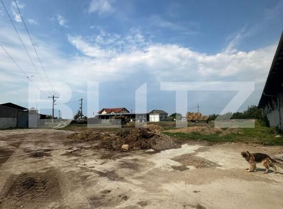 Spațiu industrial de vânzare Nord-Vest - 156799SVI | BLITZ Satu Mare | Poza8