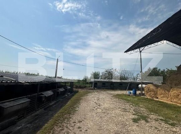 Spațiu industrial de vânzare Nord-Vest - 156799SVI | BLITZ Satu Mare | Poza14