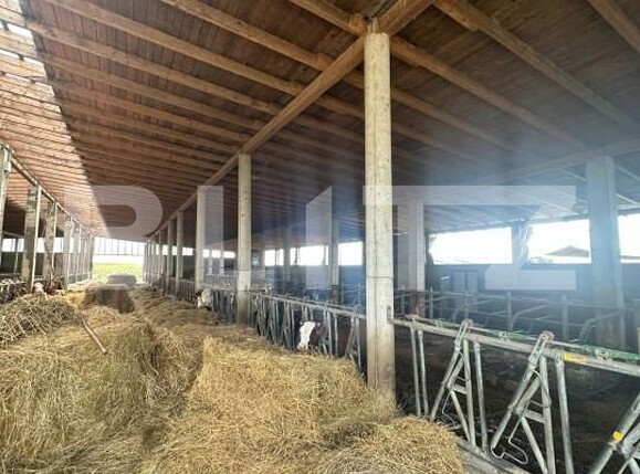 Spațiu industrial de vânzare Nord-Vest - 156799SVI | BLITZ Satu Mare | Poza5