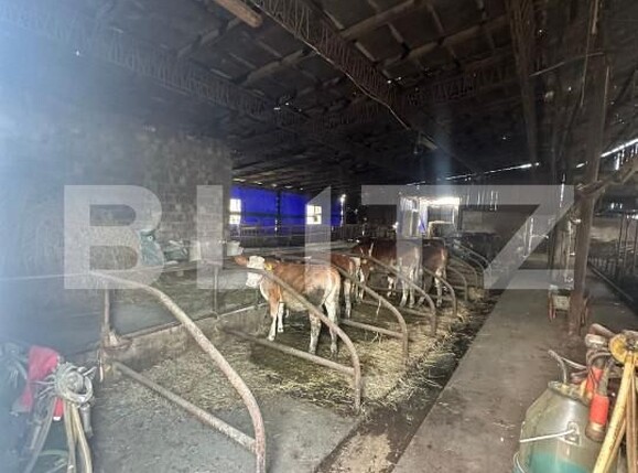 Spațiu industrial de vânzare Nord-Vest - 156799SVI | BLITZ Satu Mare | Poza10