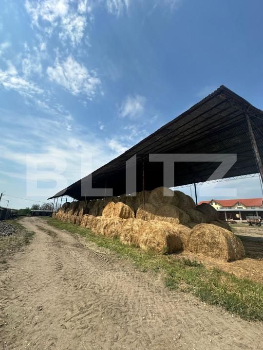 Spațiu industrial de vânzare Nord-Vest - 156799SVI | BLITZ Satu Mare | Poza13