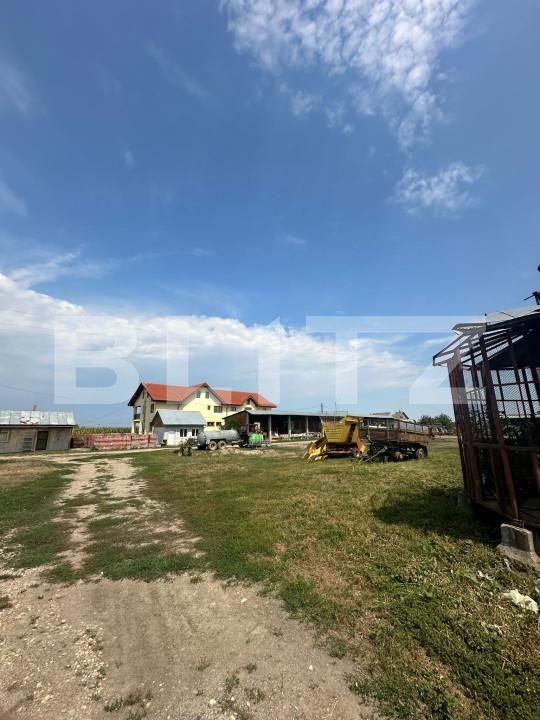 Spațiu industrial de vânzare Nord-Vest - 156799SVI | BLITZ Satu Mare | Poza19