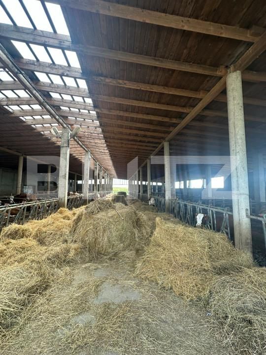 Spațiu industrial de vânzare Nord-Vest - 156799SVI | BLITZ Satu Mare | Poza6