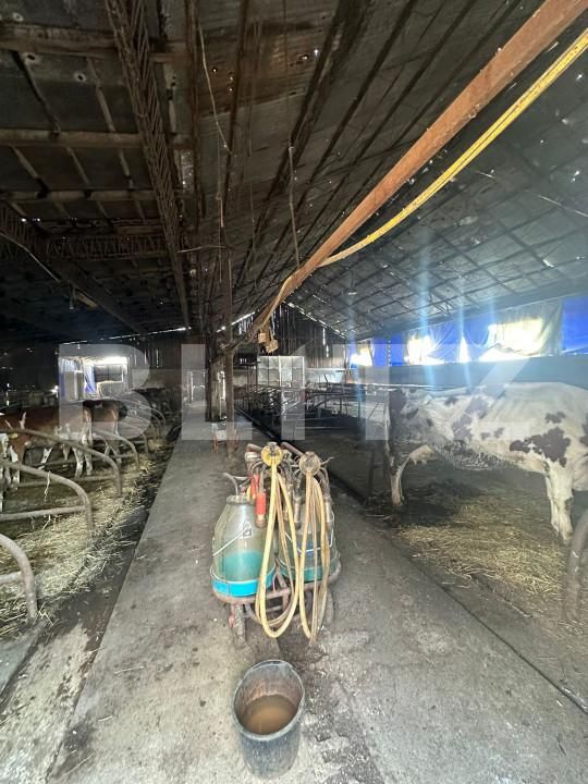 Spațiu industrial de vânzare Nord-Vest - 156799SVI | BLITZ Satu Mare | Poza11