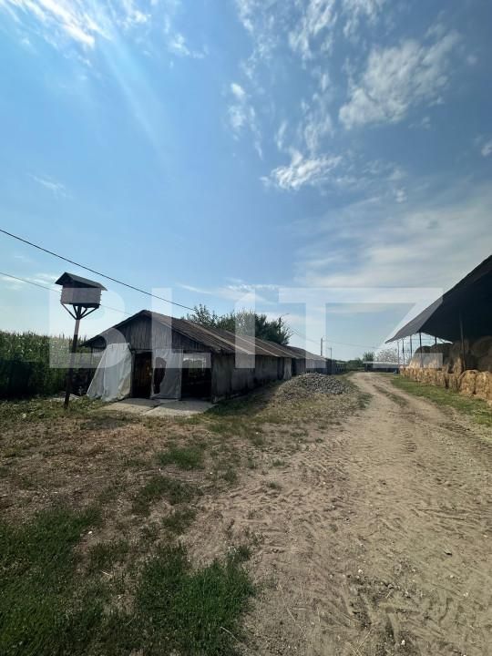 Spațiu industrial de vânzare Nord-Vest - 156799SVI | BLITZ Satu Mare | Poza12