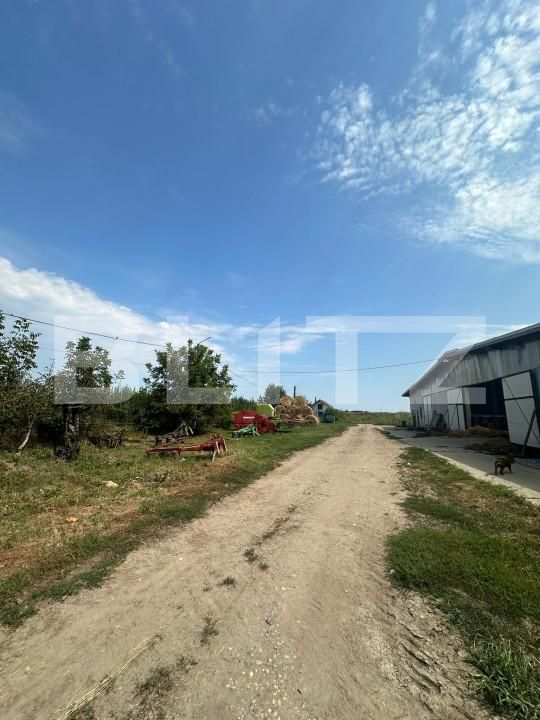 Spațiu industrial de vânzare Nord-Vest - 156799SVI | BLITZ Satu Mare | Poza3