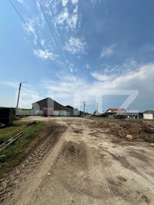 Spațiu industrial de vânzare Nord-Vest - 156799SVI | BLITZ Satu Mare | Poza9