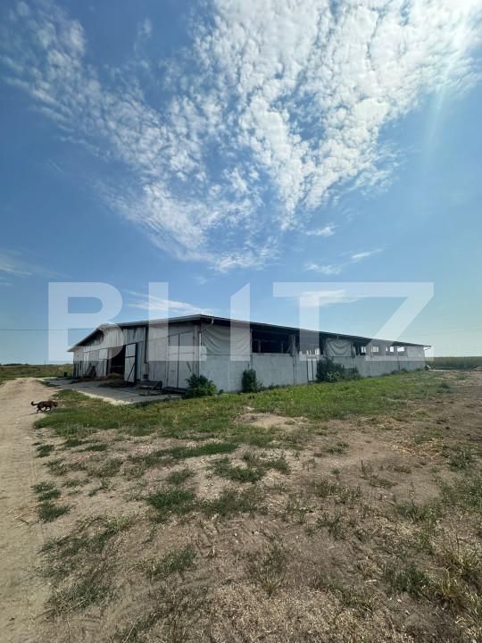 Spațiu industrial de vânzare Nord-Vest - 156799SVI | BLITZ Satu Mare | Poza2