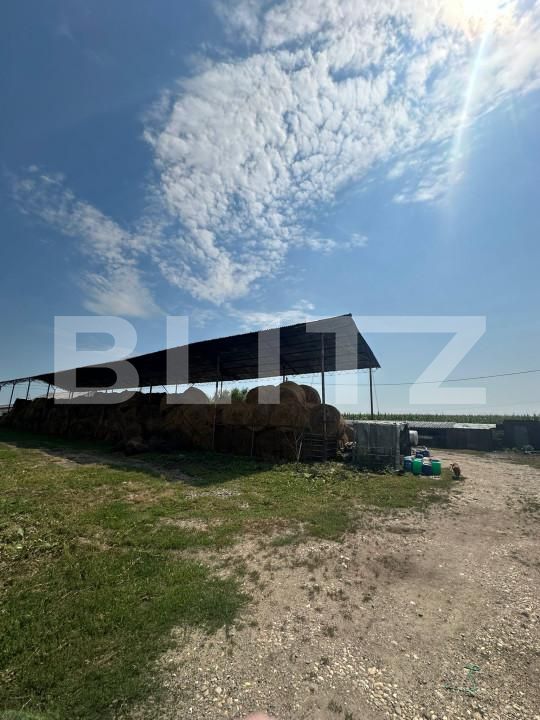 Spațiu industrial de vânzare Nord-Vest - 156799SVI | BLITZ Satu Mare | Poza18