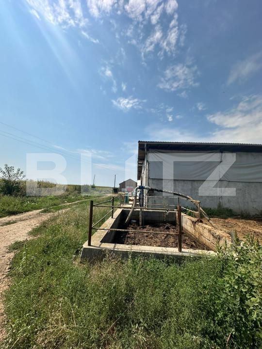 Spațiu industrial de vânzare Nord-Vest - 156799SVI | BLITZ Satu Mare | Poza7