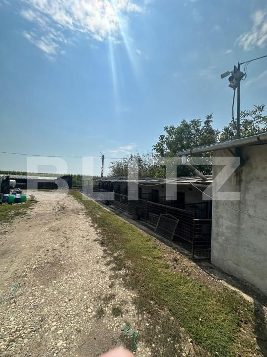 Spațiu industrial de vânzare Nord-Vest - 156799SVI | BLITZ Satu Mare | Poza15