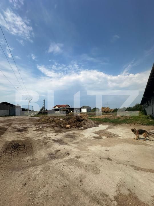 Spațiu industrial de vânzare Nord-Vest - 156799SVI | BLITZ Satu Mare | Poza8