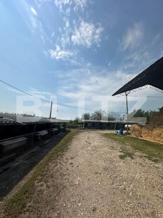 Spațiu industrial de vânzare Nord-Vest - 156799SVI | BLITZ Satu Mare | Poza14