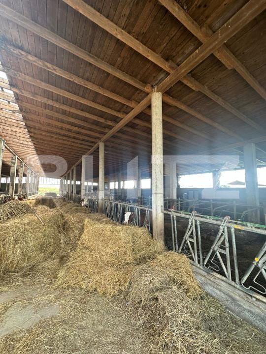 Spațiu industrial de vânzare Nord-Vest - 156799SVI | BLITZ Satu Mare | Poza5