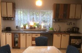 Casa de vanzare , 284 mp , zona strazii Careiului