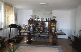 Casa de vanzare , 284 mp , zona strazii Careiului