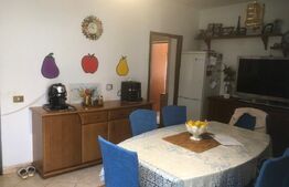 Casa de vanzare , 284 mp , zona strazii Careiului