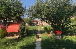 Casa de vanzare , 284 mp , zona strazii Careiului