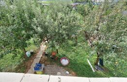 Casa de vanzare , 284 mp , zona strazii Careiului