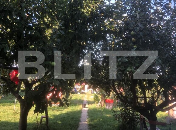 Casa de vânzare 5 camere Careiului - 156969CV | BLITZ Satu Mare | Poza19