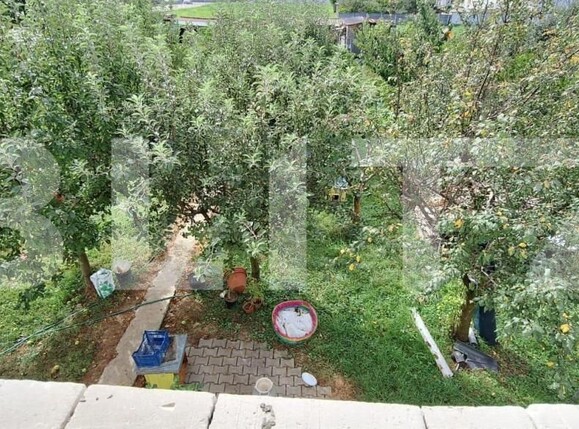 Casa de vânzare 5 camere Careiului - 156969CV | BLITZ Satu Mare | Poza16