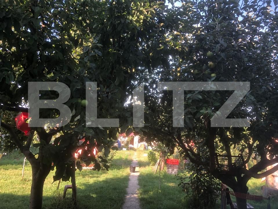 Casa de vânzare 5 camere Careiului - 156969CV | BLITZ Satu Mare | Poza19