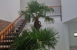 Casa, 240mp utili, Zona Titulescu