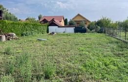 Casă spațioasă, cartierul Micro 17