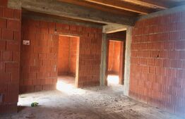 Casa la Rosu in centru  Viile Satu Mare