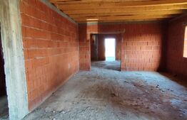 Casa la Rosu in centru  Viile Satu Mare