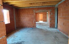 Casa la Rosu in centru  Viile Satu Mare