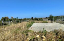 Casa la Rosu in centru  Viile Satu Mare