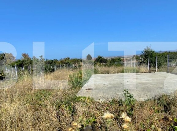 Casa de vânzare 4 camere Viile Satu Mare - 158072CV | BLITZ Satu Mare | Poza9