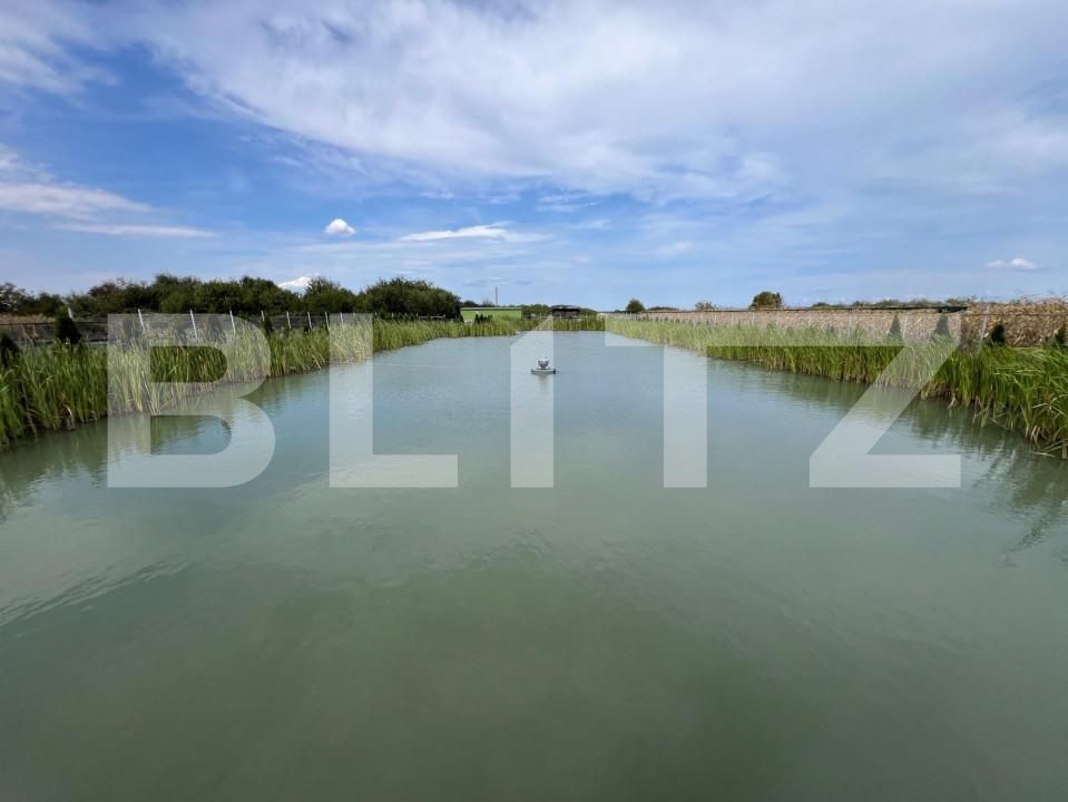 Spațiu comercial de vânzare Exterior Est - 158436SVC | BLITZ Satu Mare | Poza9