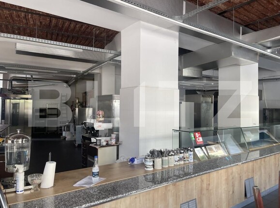 Spațiu comercial de închiriat Central - 158512SIC | BLITZ Satu Mare | Poza2