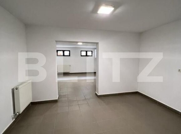 Spațiu comercial de închiriat Central - 158654SIC | BLITZ Satu Mare | Poza3