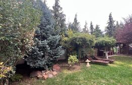 Casă, 280mp, Păulești