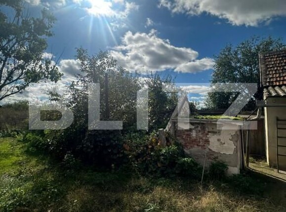 Casa de vânzare 4 camere Vetiş - 159280CV | BLITZ Satu Mare | Poza12