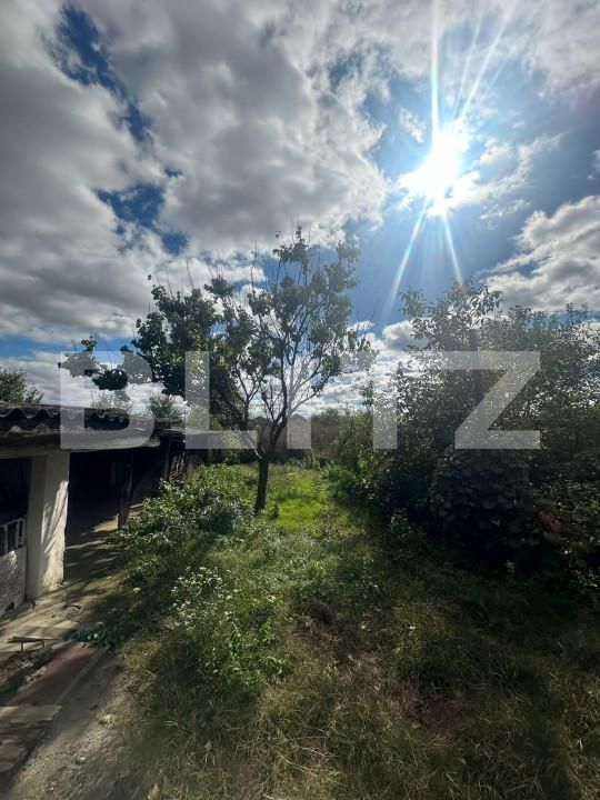 Casa de vânzare 4 camere Vetiş - 159280CV | BLITZ Satu Mare | Poza11