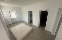 Casa renovata, semi-centrala, 100mp, 500mp teren