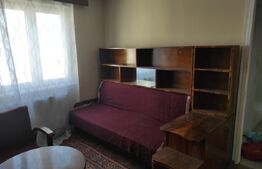 Apartament 2 camere, 42mp, zona Botizului