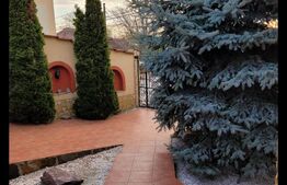 Casă Evreiască – Tășnad, Zonă Centrală